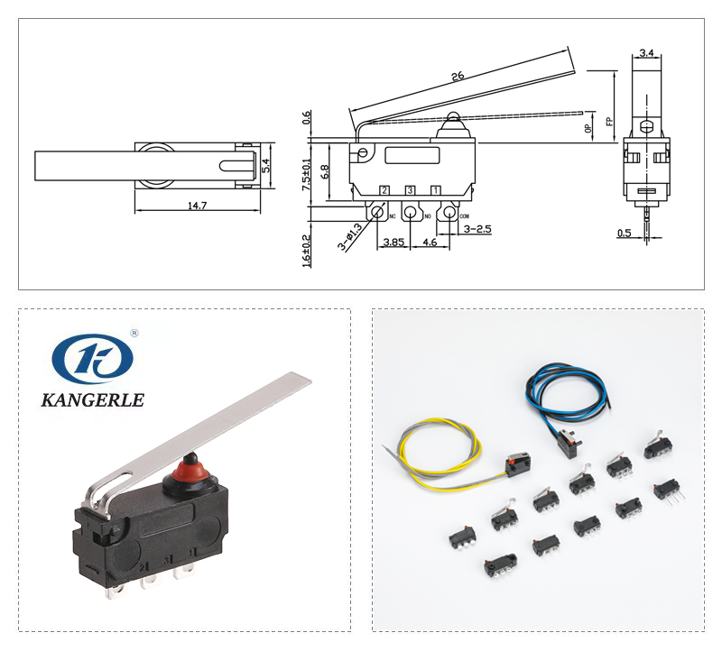 Waterproof Long Arm Micro Switch IP67插图