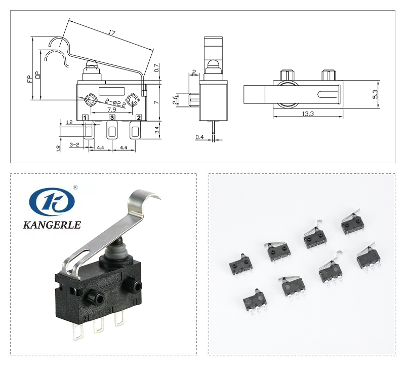 Simulated Roller Hinge Lever Micro Switch IP67插图