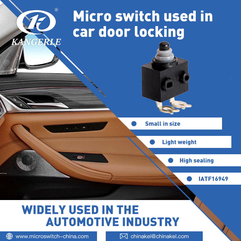CAR DOOR LOCK MICRO SWITCH IP67插图1