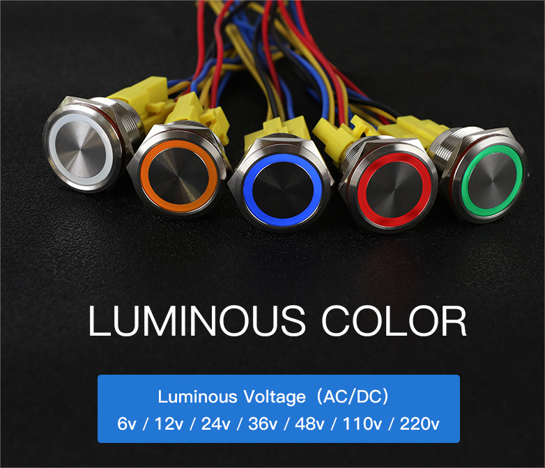 LED metal push button switch
