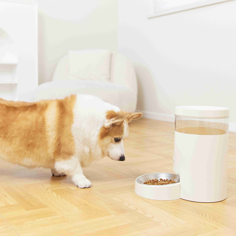 Micro Switch In Automatic Feeder-Kangerle