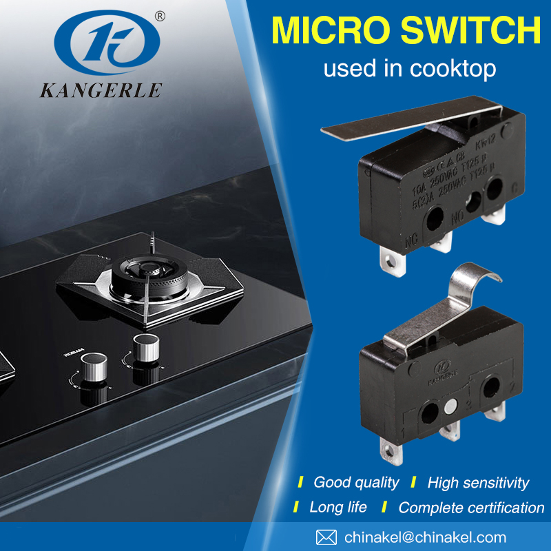 gas stove micro switch