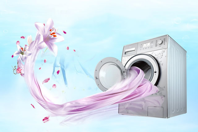 What is the micro switch on a washing machine?插图