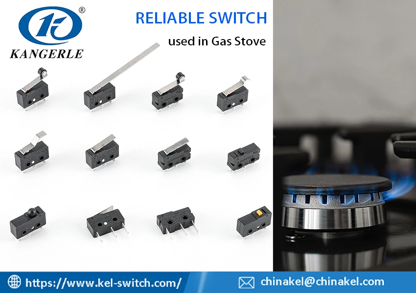 micro switch in gas stove