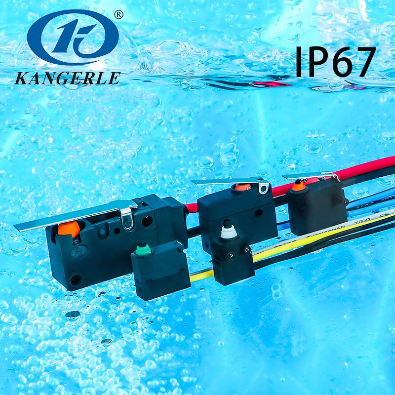 IP67 waterproof micro switch