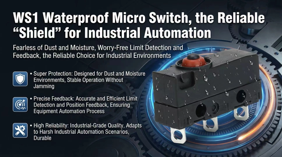 WS1 Waterproof Micro Switch